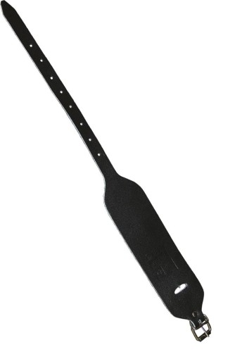 NS-S1