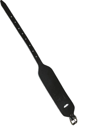 NS-S1